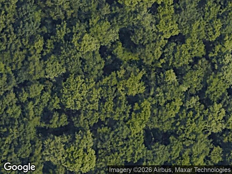 Satellitfoto af Junglestien