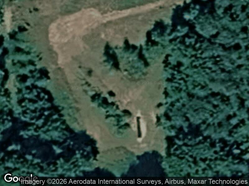 Satellitfoto af Høng Skov