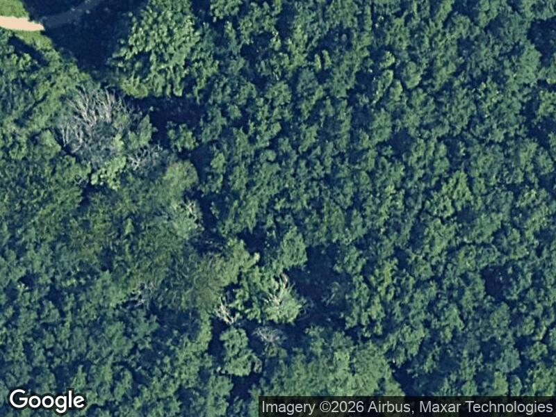 Satellitfoto af Legepladsen ved Mollerup Skov
