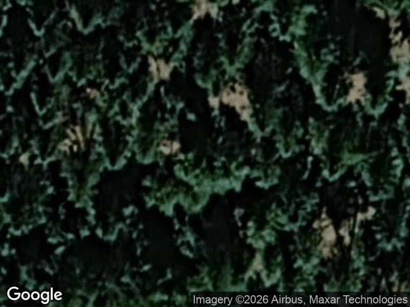 Satellitfoto af Vestre plantage – Holstebro
