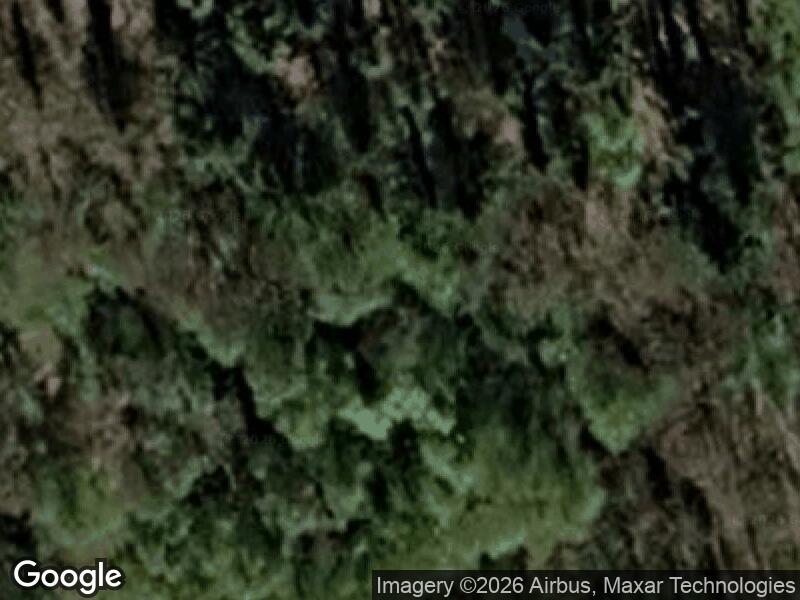 Satellitfoto af Fuglereden