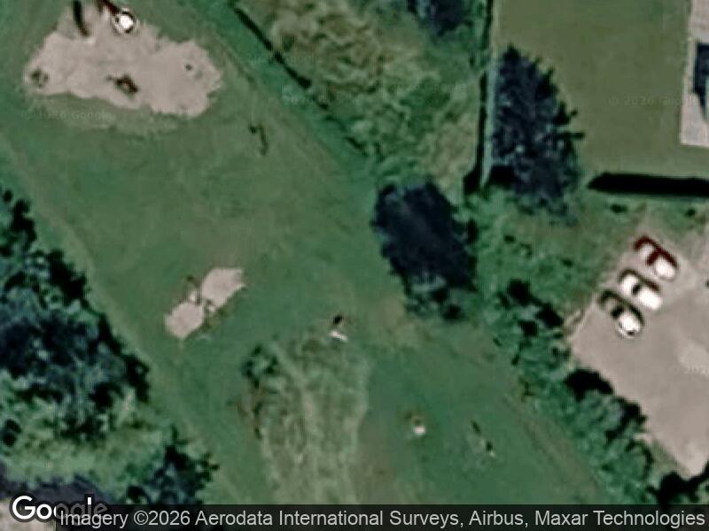 Satellitfoto af Nyborg - Birkhovedvej