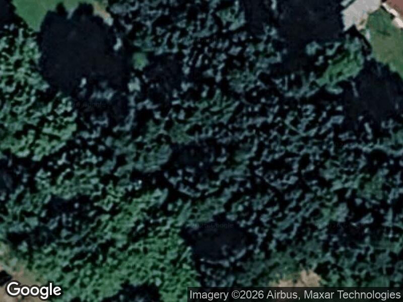 Satellitfoto af Tarzanbanen sigbritsparken
