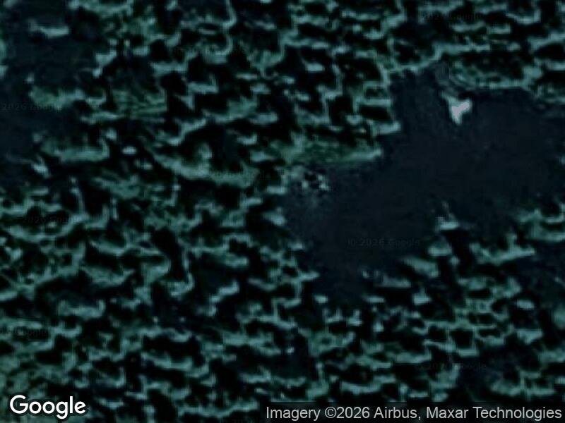 Satellitfoto af Dinnsens Skovpark, Alslev