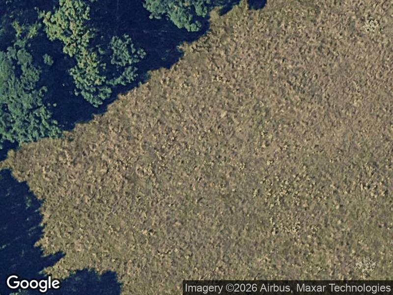 Satellitfoto af Skov legen