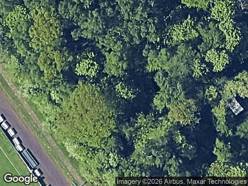 Satellitfoto af Skovbanen