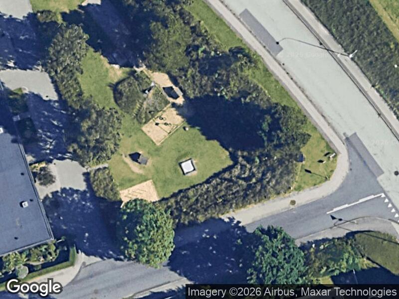 Satellitfoto af Bjerringsvej