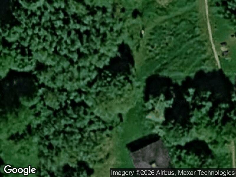 Satellitfoto af Tarzanbanen Nordre Fælled