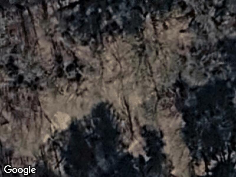 Satellitfoto af Harrild Hede, naturlegeplads ved Holtum Å og Åhus