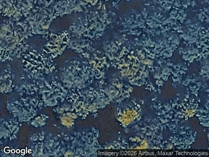 Satellitfoto af Naturlegeplads Svanninge bakker
